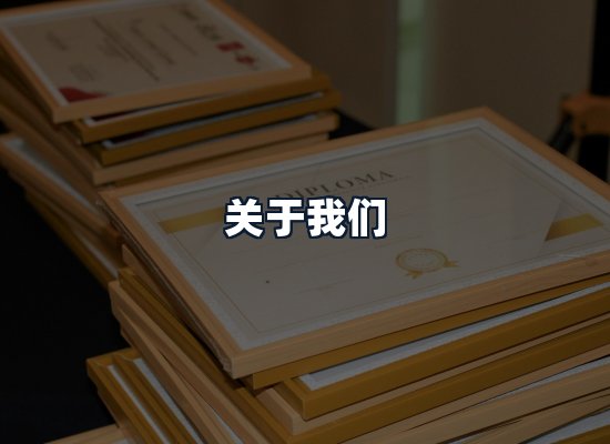 关于我们